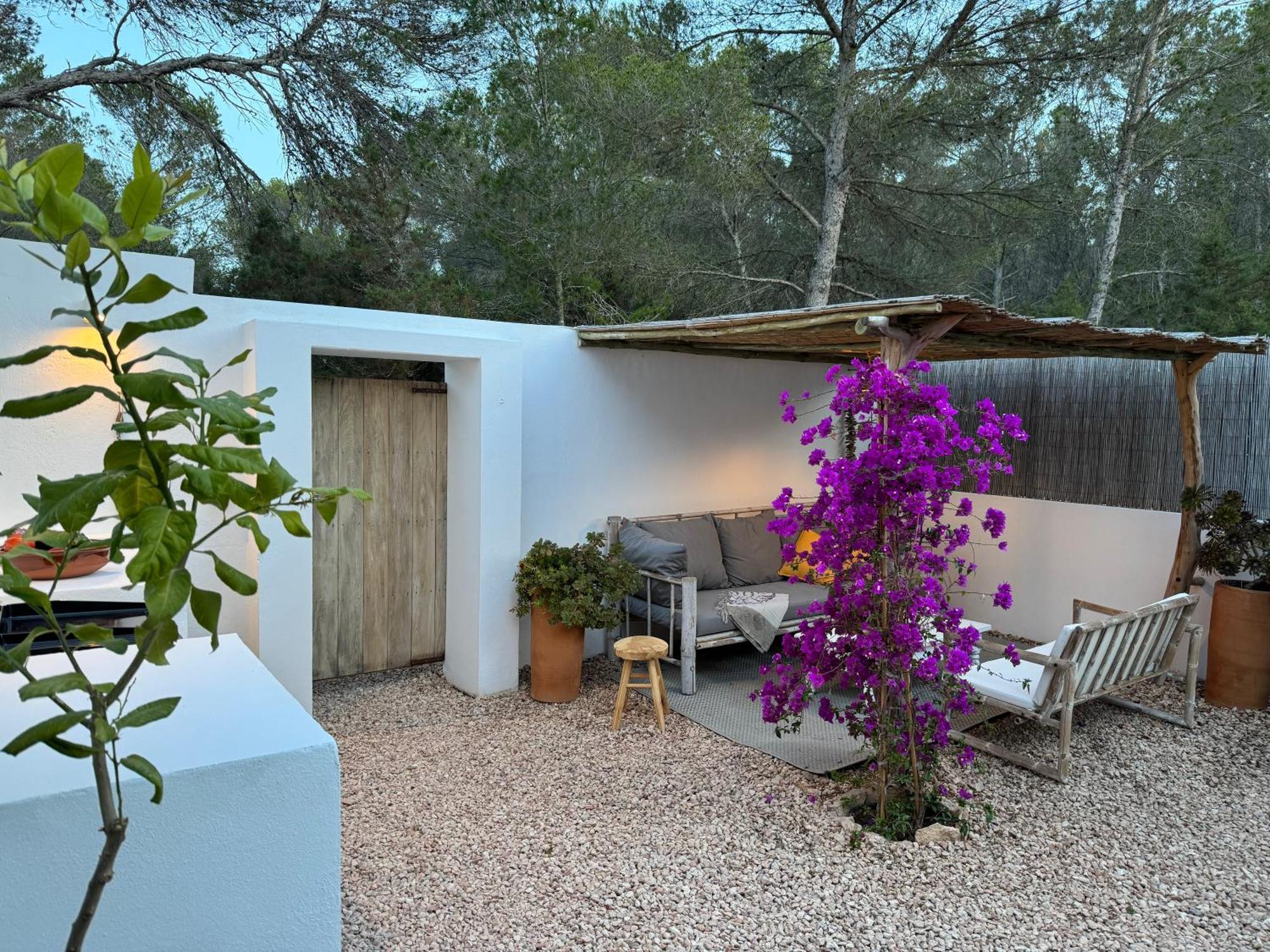 Feliz Lagartija Villa Cala Saona Exterior photo